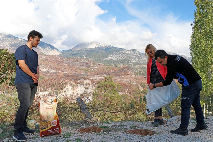 Ayten öğretmenin orman yangını sonrası hayvan hassasiyeti iyilik hareketine dönüştü - Resim: 2