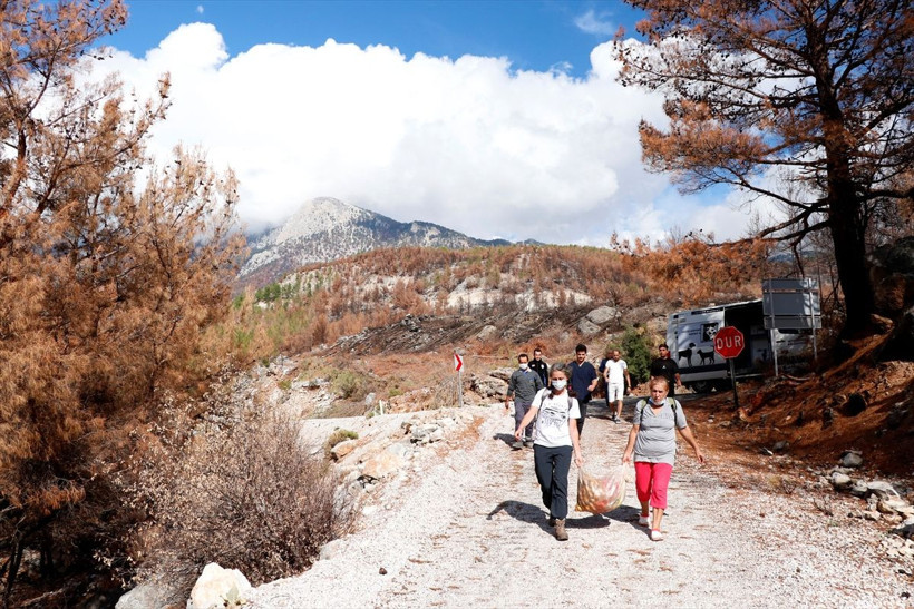 Ayten öğretmenin orman yangını sonrası hayvan hassasiyeti iyilik hareketine dönüştü - Resim: 3