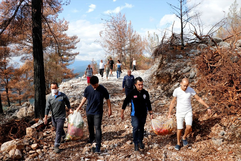 Ayten öğretmenin orman yangını sonrası hayvan hassasiyeti iyilik hareketine dönüştü - Resim: 4