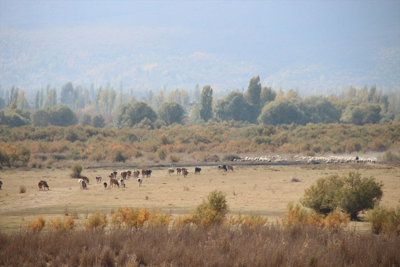 Tamamen kuruyan Akşehir Gölü'nün tabanında su bulundu - Resim: 1