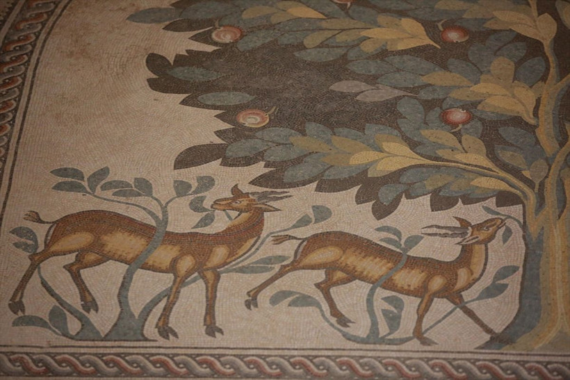 Filistin'in Eriha kentinde saray zemininde yer alıyor görüntüler ilgi çekti - Resim: 2