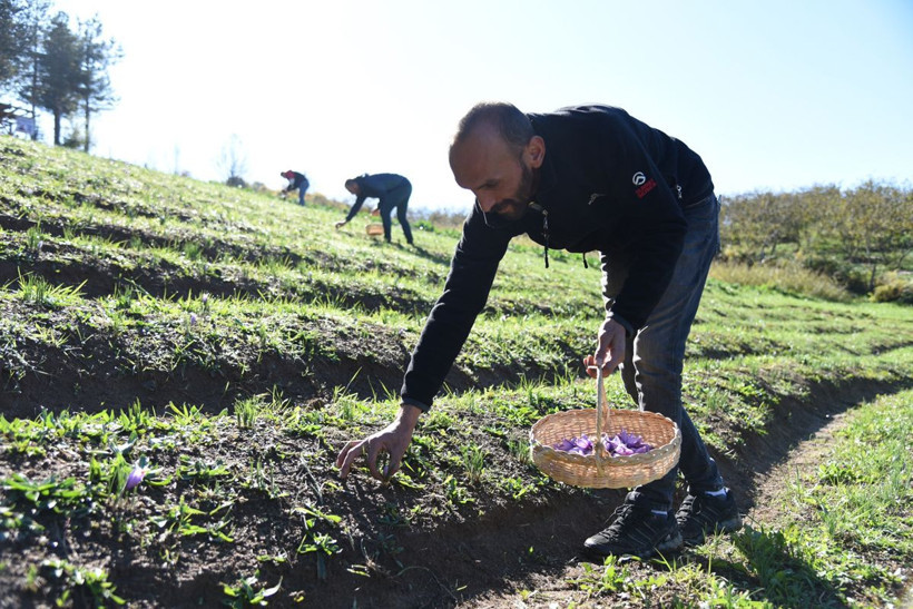Gram gram satılıyor! Kilosu 30 bin-70 bin arasında değişiyor - Resim: 4
