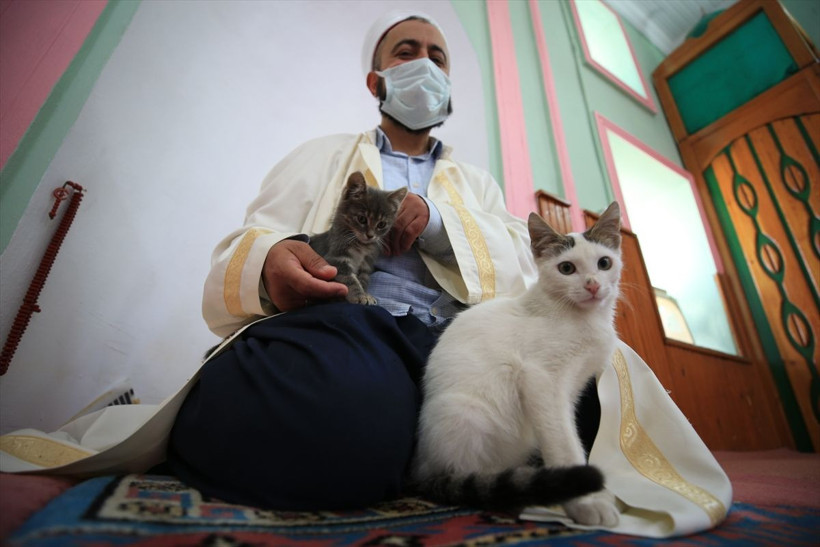 Hayvansever imam caminin kapılarını kedilere açtı - Resim: 2