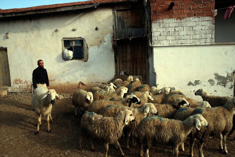 Yıllarca inşaatlarda çalıştığı parayla almıştı bir gecede 25 bin lira kaybetti - Resim: 3