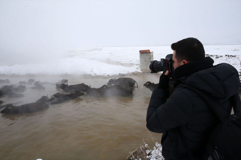 Eksi 20 derecede 40 dereceki suya sokup temizliyorlar fotoğraf tutkunları Bitlis'e koştu - Resim: 3