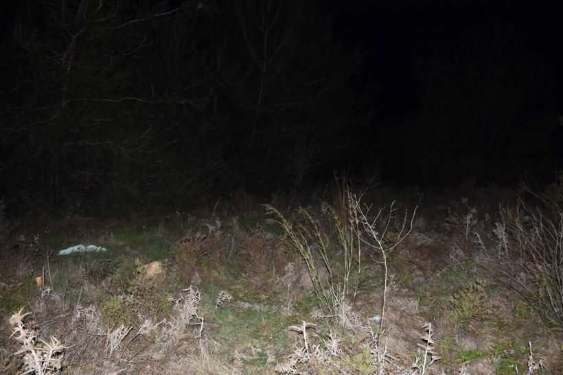 İzmir'de canice öldürüp battaniyeye sarıp ormana attı! Cezası belli oldu her şeyi anlattı: 6-7 dakika... - Resim: 2