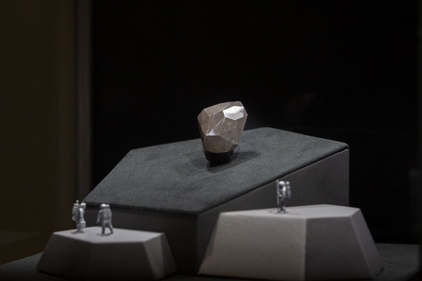 Dünyanın en büyük siyah elması açık arttırmayla satışa sunuldu! Fiyatı ağızları açıkta bıraktı - Resim: 3