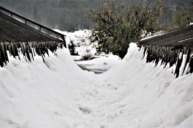 Antalya'da sıradışı meteoroloji olayı! 30 santimetre dolu yağdı inanılmaz görüntüler - Resim: 1