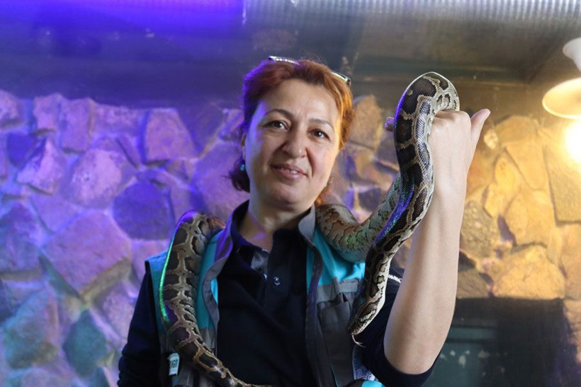 Kayseri'de bu kadın yılanları boynuna alarak geziyor - Resim: 2