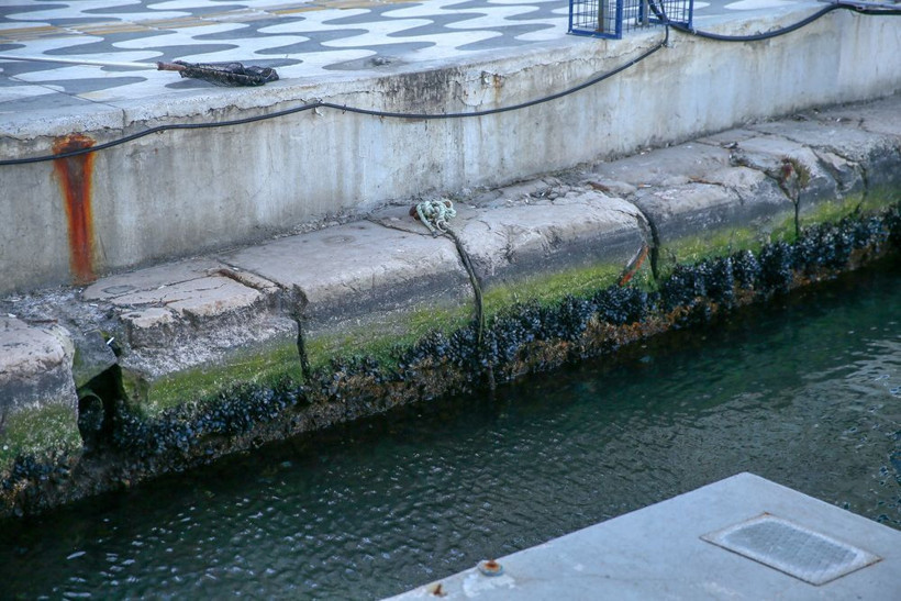 Korkutan görüntü! Deniz suyu 60 santimetre çekildi - Resim: 2