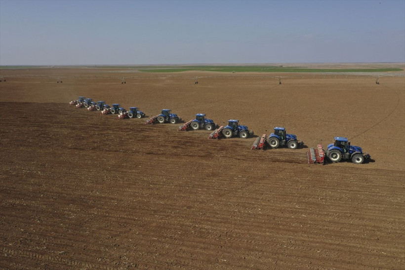 Ayçiçek yağı krizinde yeni hamle Rusya kısıtlama getirecek zam gelmesin diye bu yapılıyor - Resim: 3