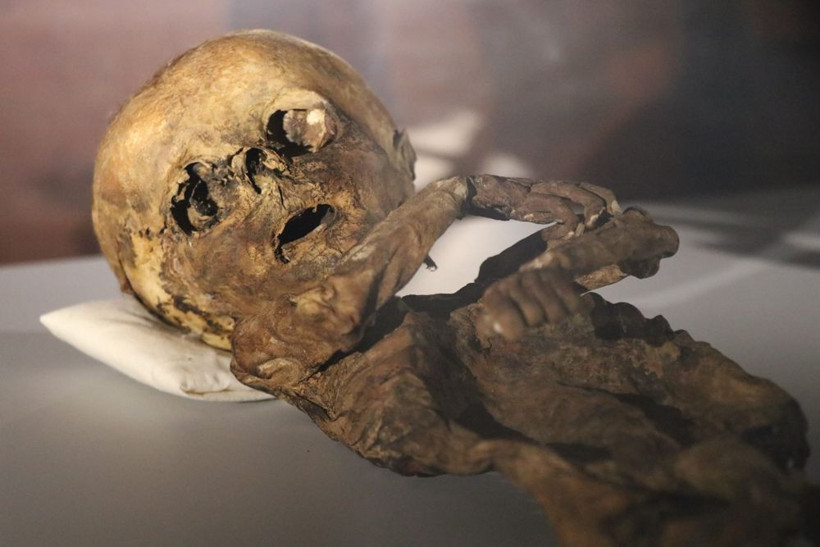 Mısır'da değil Türkiye'de bulundu! Tam 13 tane gören gözlerine inanamıyor - Resim: 3