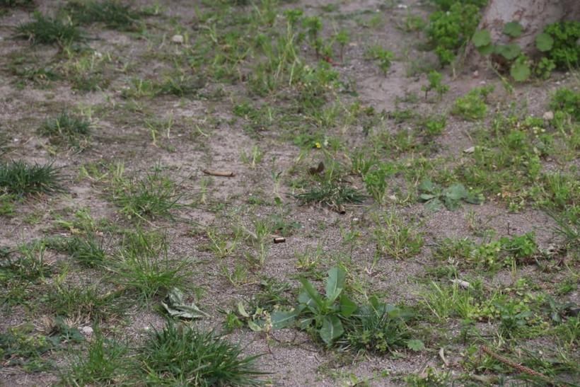 Emekli polis şeytana uydu! Antalya'da pişmanlığı yüzünden okundu - Resim: 3