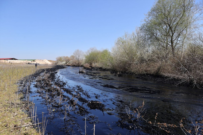 Edirne'de çevre felaketi! Havuz yıkıldı zift, ekili alanları kapladı gören gözlerine inanamadı - Resim: 4