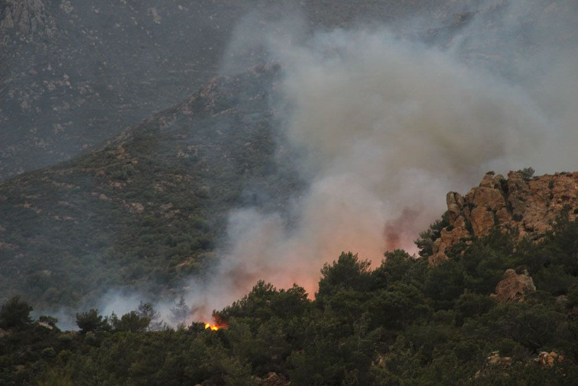 Bodrum’da orman yangını! Rüzgarın etkisiyle giderek büyüyor - Resim: 1