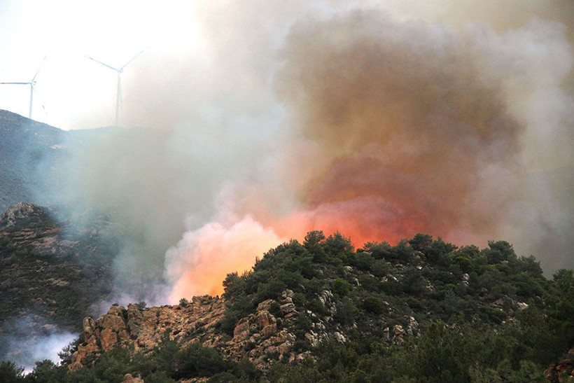 Bodrum’da orman yangını! Rüzgarın etkisiyle giderek büyüyor - Resim: 4