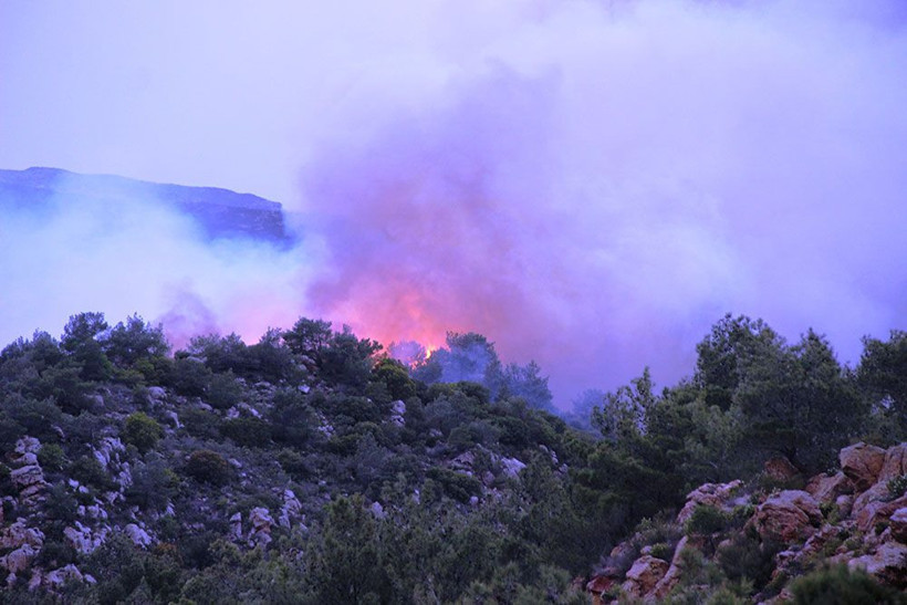 Bodrum’da orman yangını! Rüzgarın etkisiyle giderek büyüyor - Resim: 3