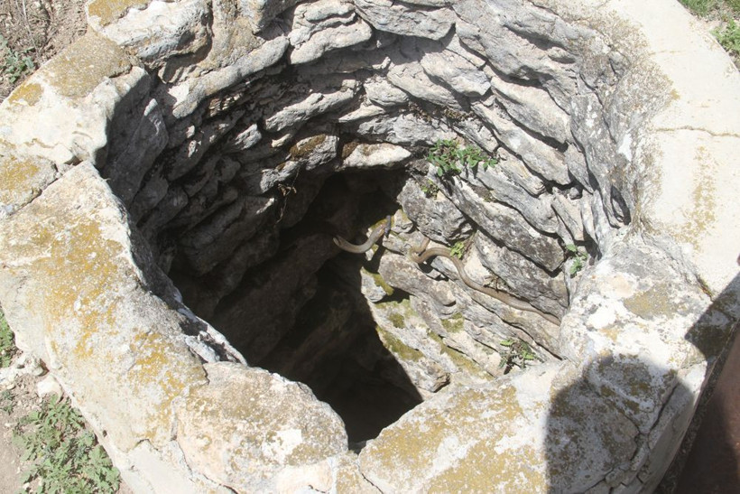 Bu kuyudan çıkan yılanlar 'çok güzel'! Konya'da köylüler seyretmeye geliyor - Resim: 1