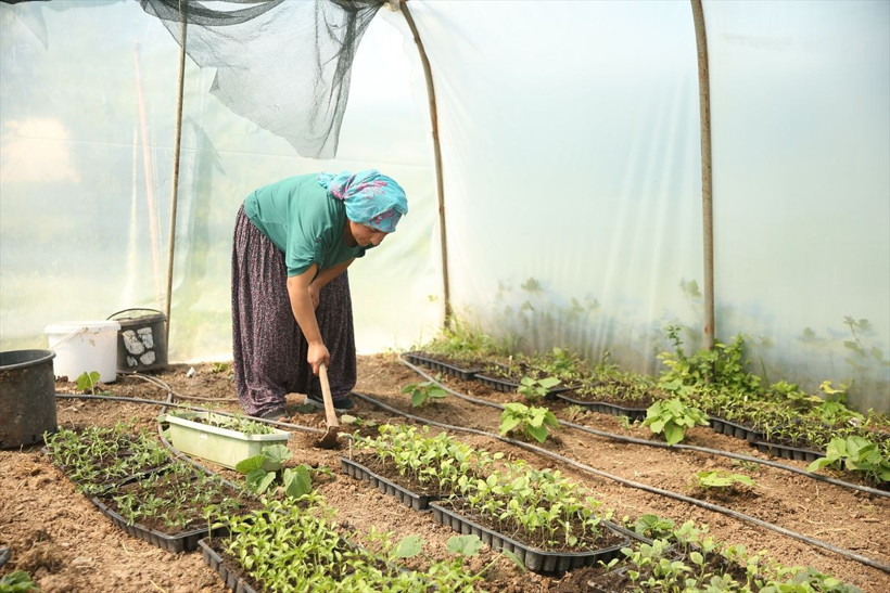 Necla hemşire işini bırakıp köyüne yerleşti! Çocukluğundaki hayalini gerçekleştirdi - Resim: 2