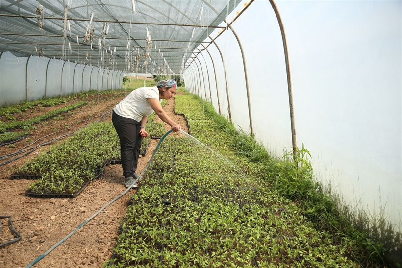 Necla hemşire işini bırakıp köyüne yerleşti! Çocukluğundaki hayalini gerçekleştirdi - Resim: 4