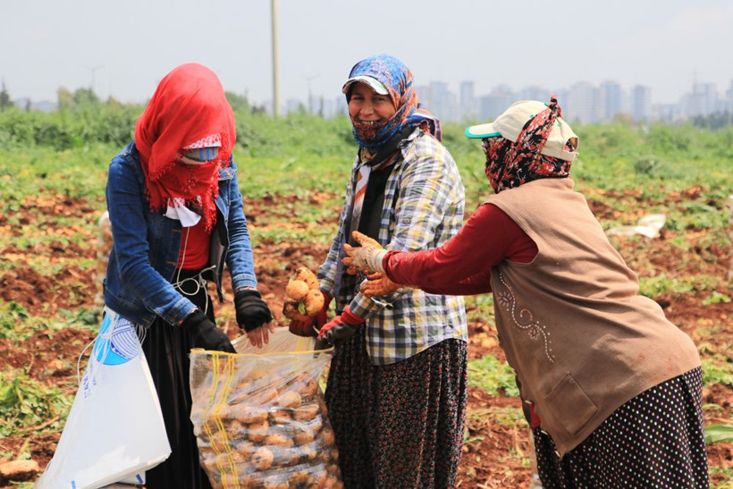 Hasadı 2 hafta geç başladı ama indirim getirecek! Hallere gönderildi fiyatlar düşecek - Resim: 4