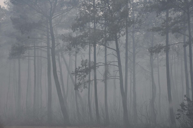 Marmaris'te orman yangını! Evler boşaltıldı havadan müdahale başladı! son dakika haberi geldi - Resim: 4