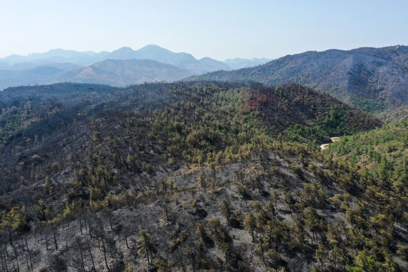 Marmaris'te durum korkunç! Günlerdir sürüyor son haline bakın "4 bin 813 futbol sahası büyüklüğünde alan yandı" - Resim: 3