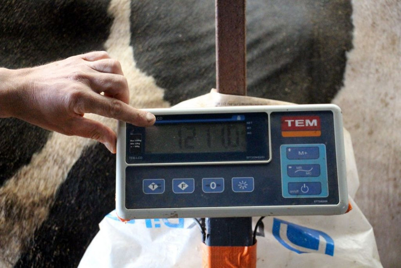 Bu tosun tam 1 ton 220 kilo! Satıldığı fiyat ise 'yok artık' dedirtti! - Resim: 2