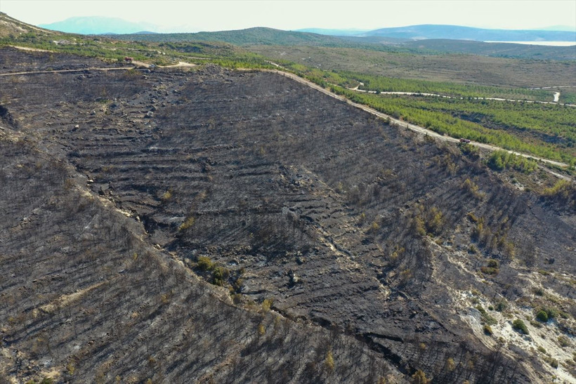 Çeşme yangını yanan alanlardan yürek yakan görüntüler! Havadan çekildi - Resim: 4