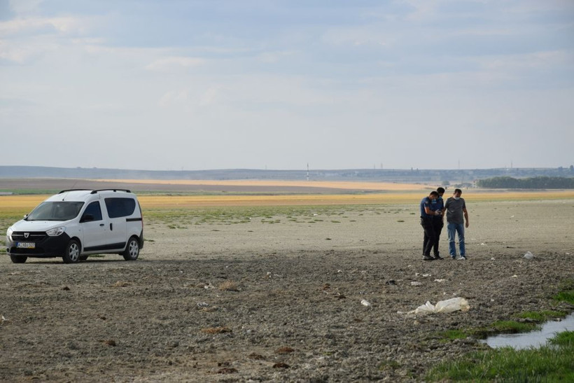 Düden Göleti'nde şok manzara! Martılar toplu halde ölüyor - Resim: 1