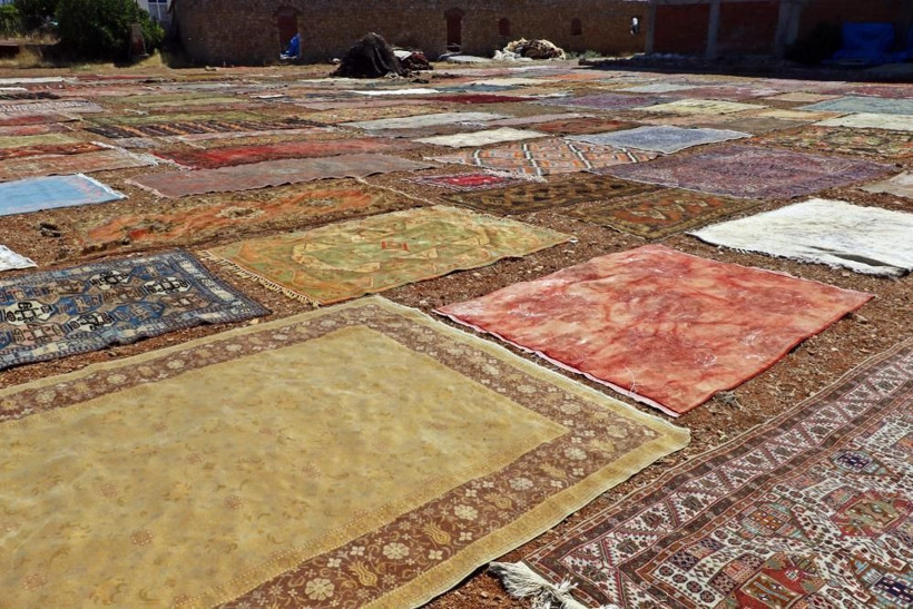 Milyonluk değeri var kapış kapış satılıyor! Antalya'da tarlada ilginç nöbet - Resim: 4