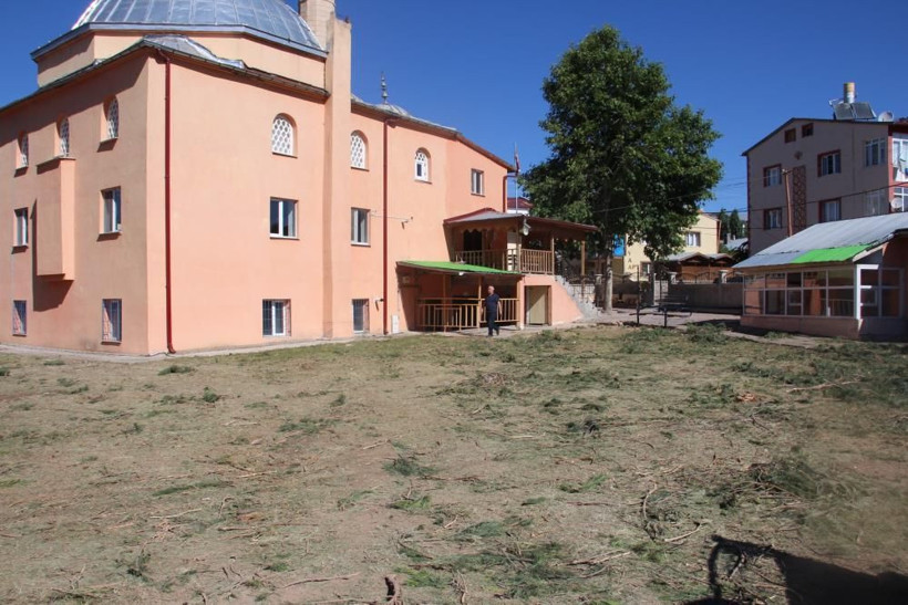 Gölge yapıyor diye 33 adet çeyrek asırlık ağaçları kestiler - Resim: 3