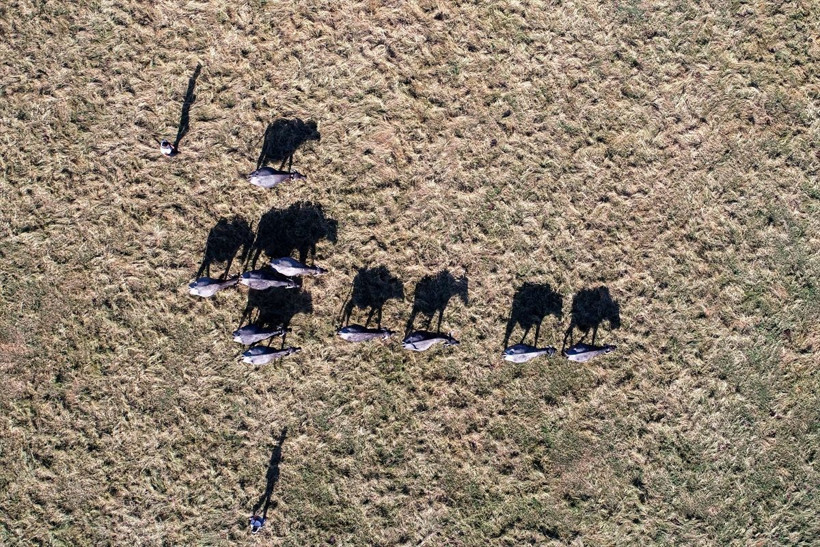 Devlet desteğiyle başladılar talep patladı 3 kadın bu sayede çocuklarını okuttu - Resim: 2