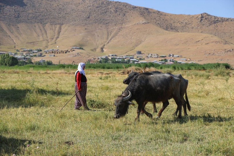 Devlet desteğiyle başladılar talep patladı 3 kadın bu sayede çocuklarını okuttu - Resim: 4