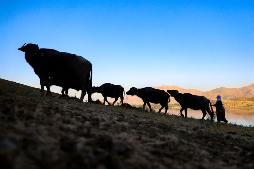 Devlet desteğiyle başladılar talep patladı 3 kadın bu sayede çocuklarını okuttu - Resim: 3