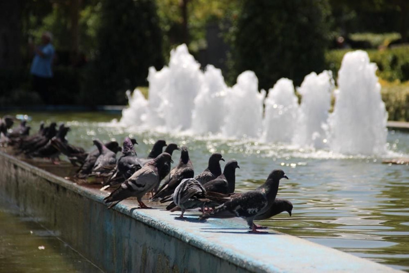 Meteoroloji ve uzman isim uyardı! O tarihe dikkat harita kıpkırmızı İstanbul, İzmir, Antalya, Çanakkale... - Resim: 2