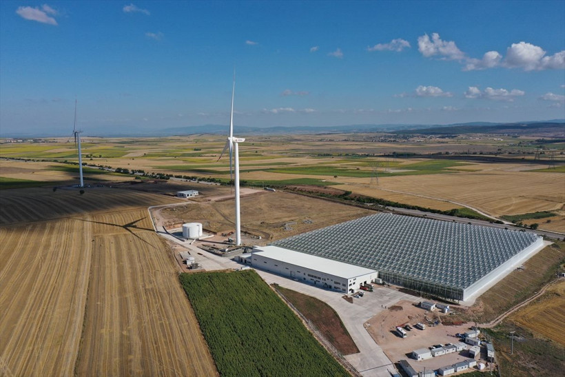 Bu sistem maliyeti yüzde 50 azalttı! Ezber bozan domates üretimi: 700 milyon lira... - Resim: 1