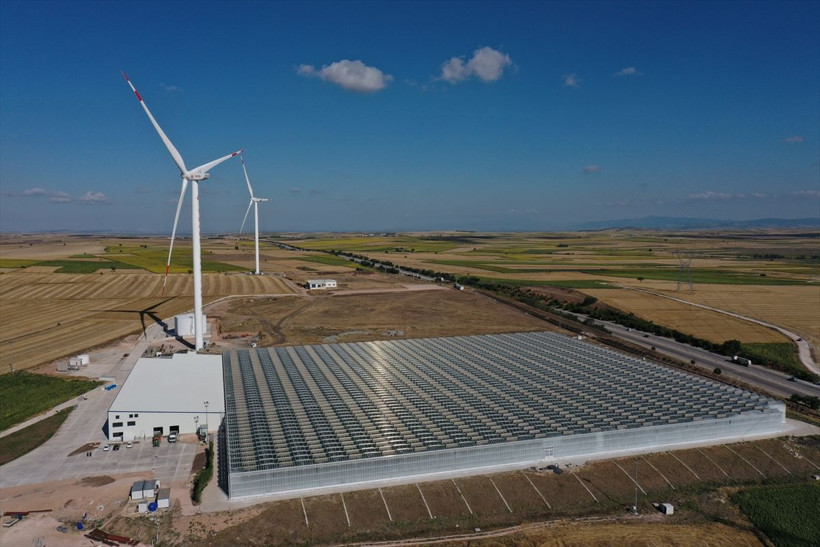 Bu sistem maliyeti yüzde 50 azalttı! Ezber bozan domates üretimi: 700 milyon lira... - Resim: 2