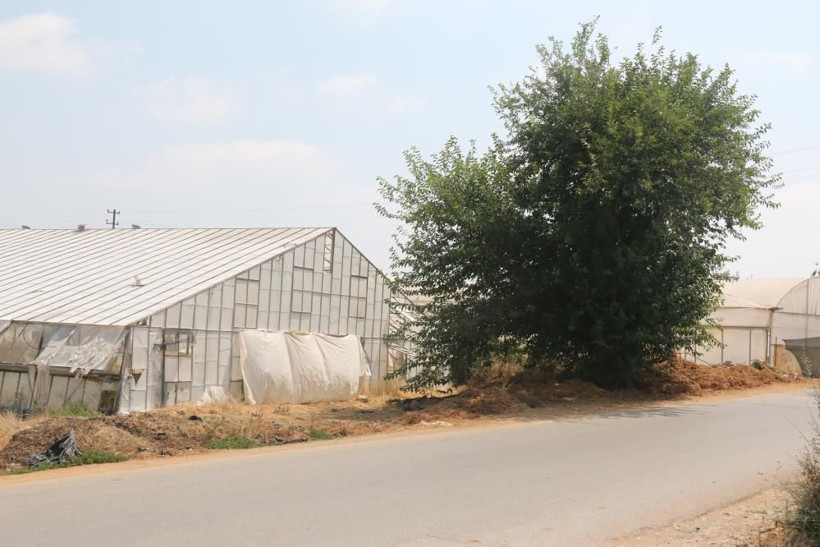 Antalya'da ağaç altında bulundu! 10 günlük bebeği başka bir anne hayatta tuttu - Resim: 1