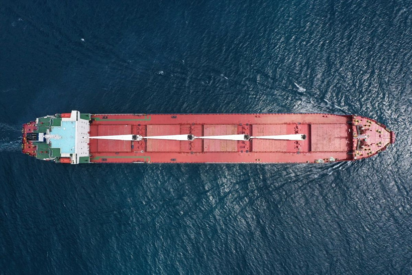 'Razoni' ve Yavuz Sultan Selim Köprüsü bir arada; tahıl gemisi İstanbul Boğazı'ndan geçti - Resim: 1