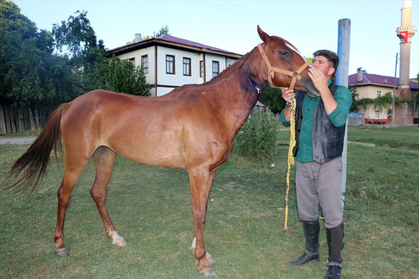 Boynu kesilen atı bahçe hortumuyla kurtardı! Kastamonu'da ilginç olay: Bypass yapmışsın - Resim: 2