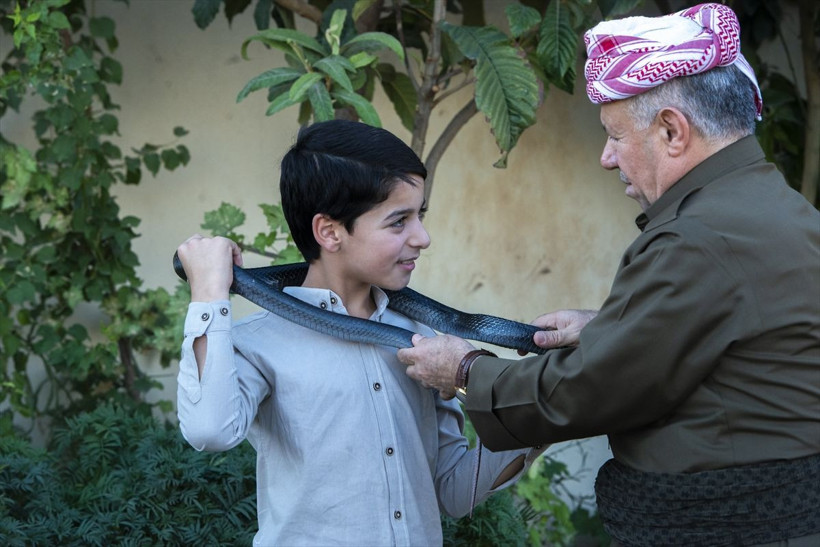 60 yılanla beraber yaşayan adamın evi ürküttü! Yakaladığını eve getirip etle besliyor - Resim: 3