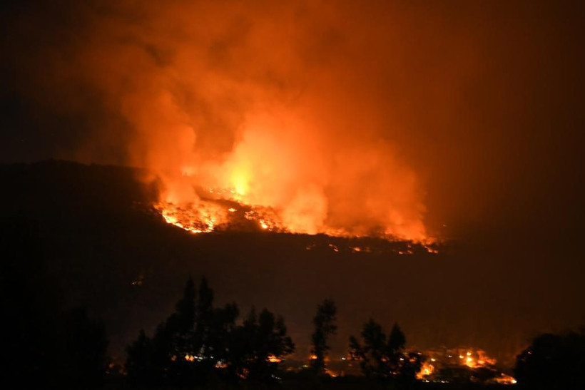 Muğla'da orman yangını çıktı! Yangın evleri tehdit etti uçaklar devreye girince... - Resim: 1