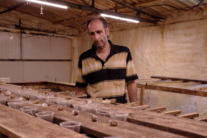 İspanya'da kardeşi gördü Kocaeli'de çiftliğini kurdu paraya para demiyor - Resim: 2