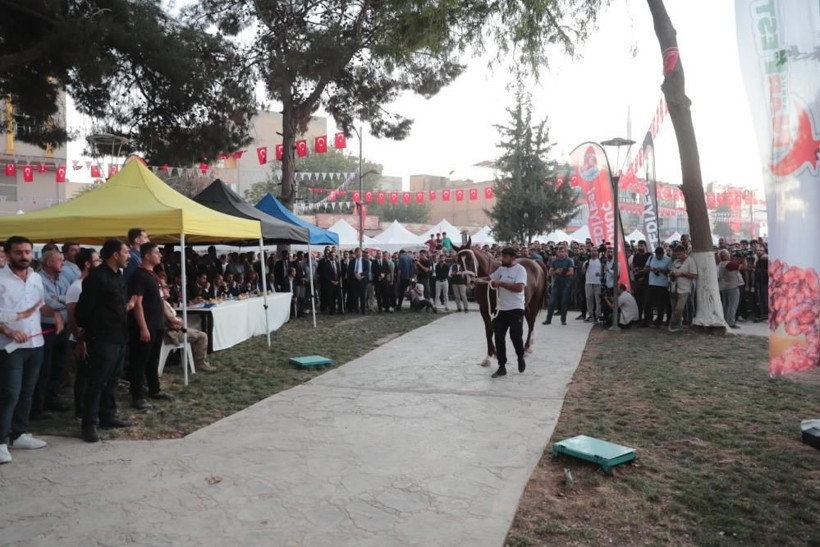 Bakan Soylu’ya Suruç’ta sevgi seli: Zılgıtlarla karşılandı, yarış atı hediye edildi! - Resim: 2