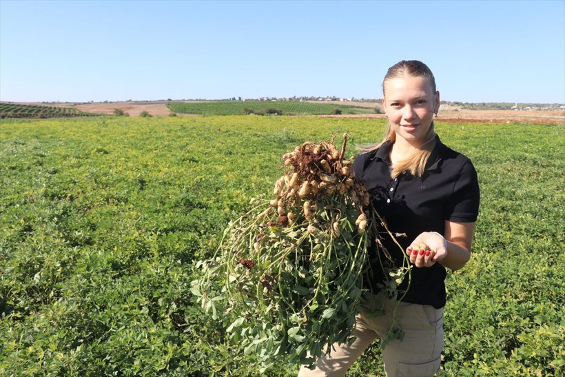 Nihan'ın çiftliği!.. 24 yaşındaki Nihan Işık 3 bin 200 dönüm arazide çiftçilik yapıyor - Resim: 4