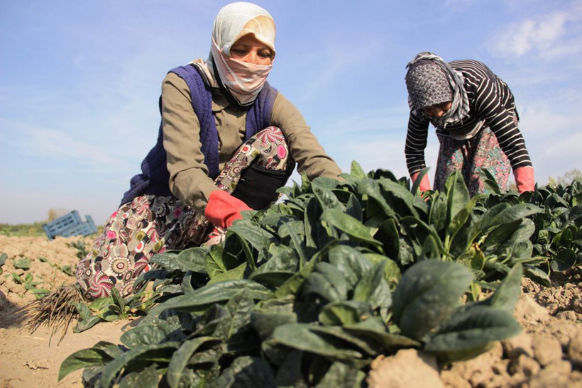 Kış mevsiminin vazgeçilmezi! Yağmur yağmazsa fiyatı uçacak - Resim: 3