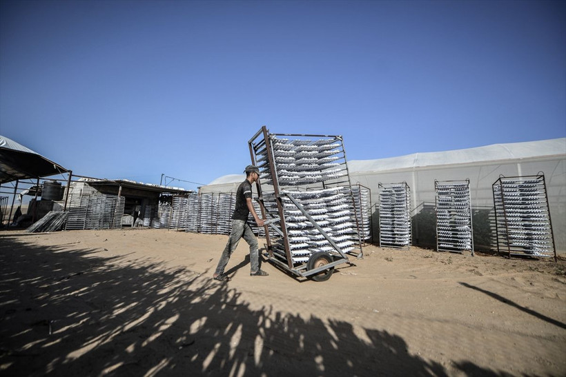 Kağıttan 'çorba' yapıyor kendi işini kurdu 50 bin dolara ulaştı! Günde 3 bin üretim - Resim: 4