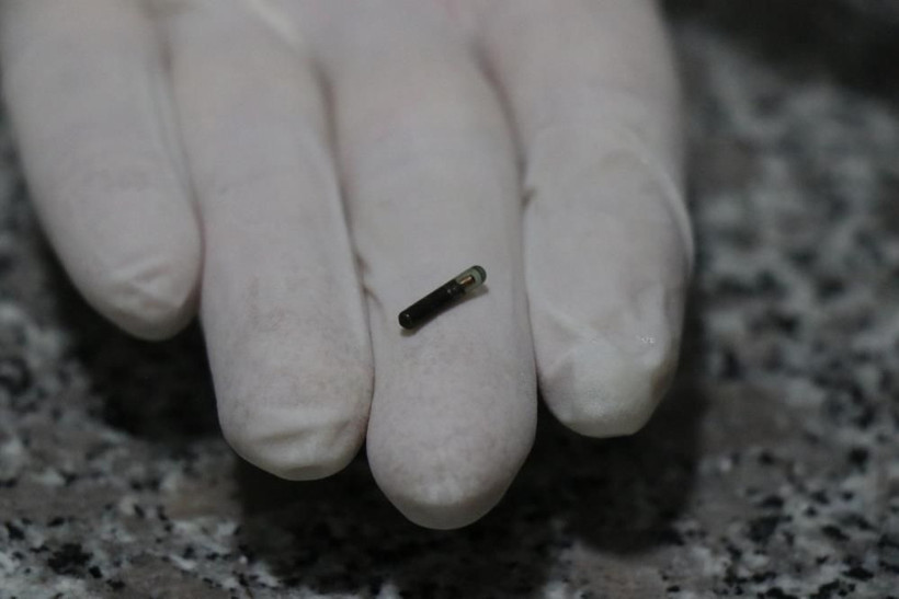 Evcil hayvanı olanlar dikkat! Son tarih 31 Aralık: Para cezası var - Resim: 2