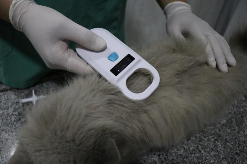 Evcil hayvanı olanlar dikkat! Son tarih 31 Aralık: Para cezası var - Resim: 4